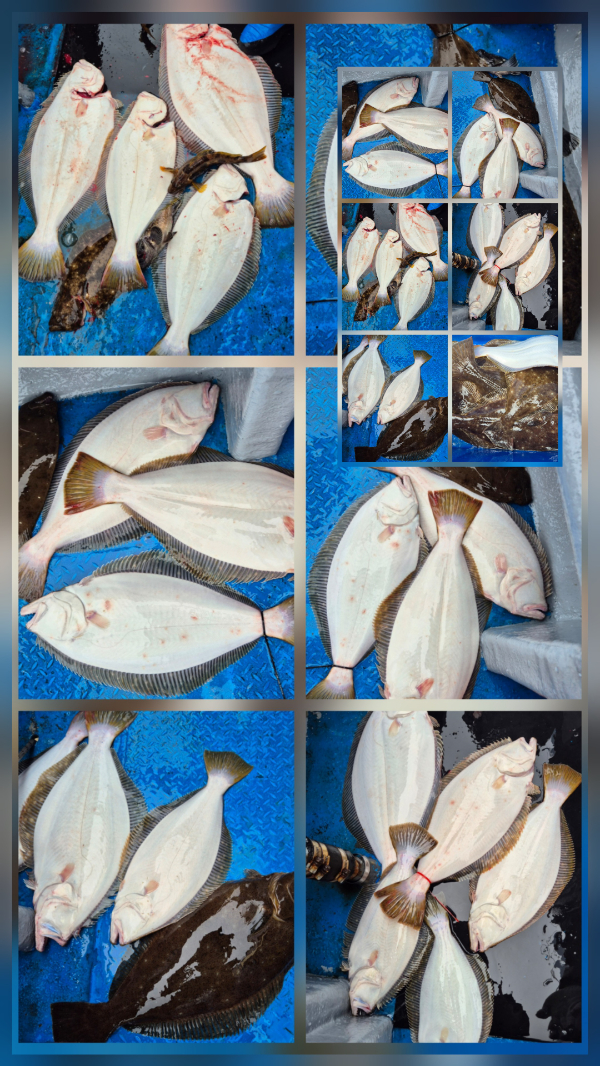 1000056248.jpg