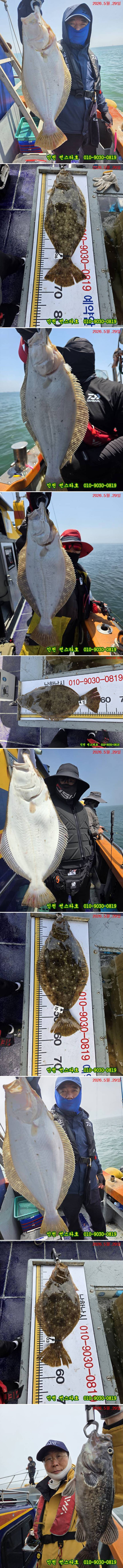 KakaoTalk_20260529_162444217_25-vert.jpg