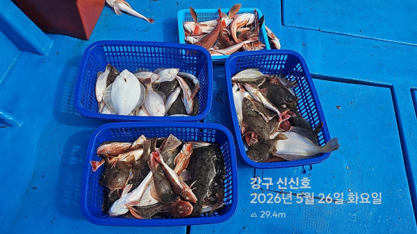 신신낚시 강구점 신신호_사진_20260526_18.jpg