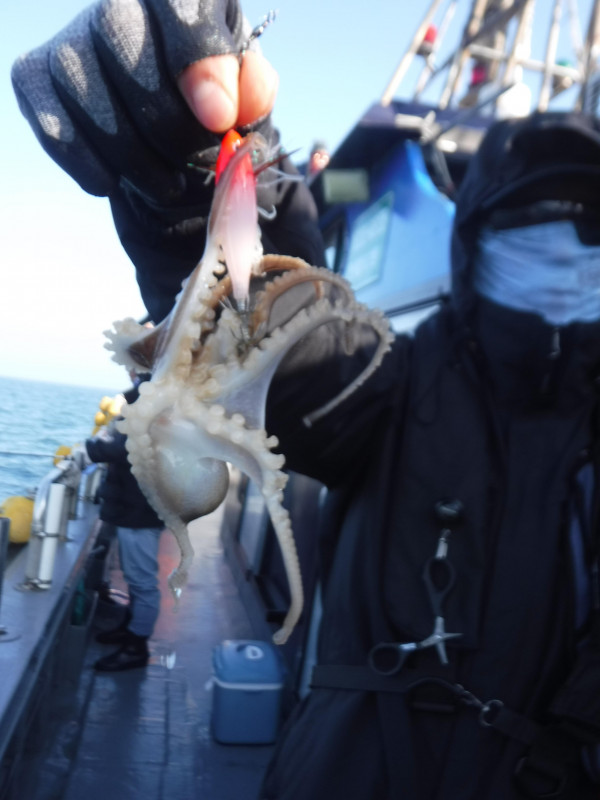DSCF5663.JPG