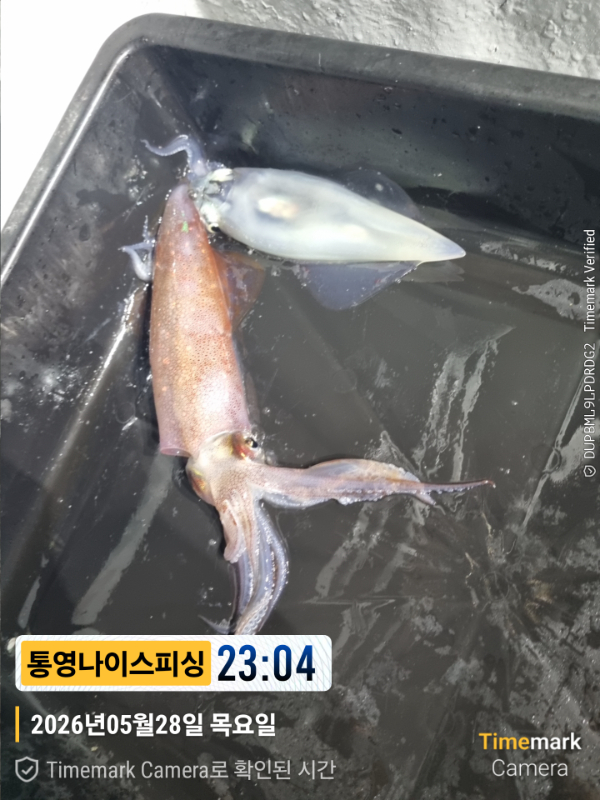 2026-05-28 23.04.09__(제목-통영나이스피싱).jpg