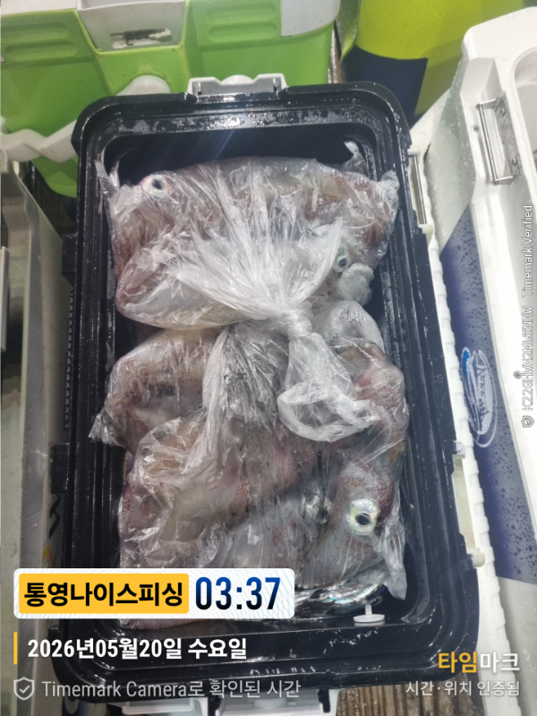 2026-05-20 03.37.34__(제목-통영나이스피싱).jpg
