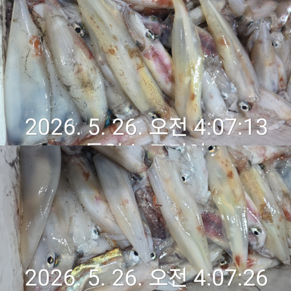 1000079816.jpg