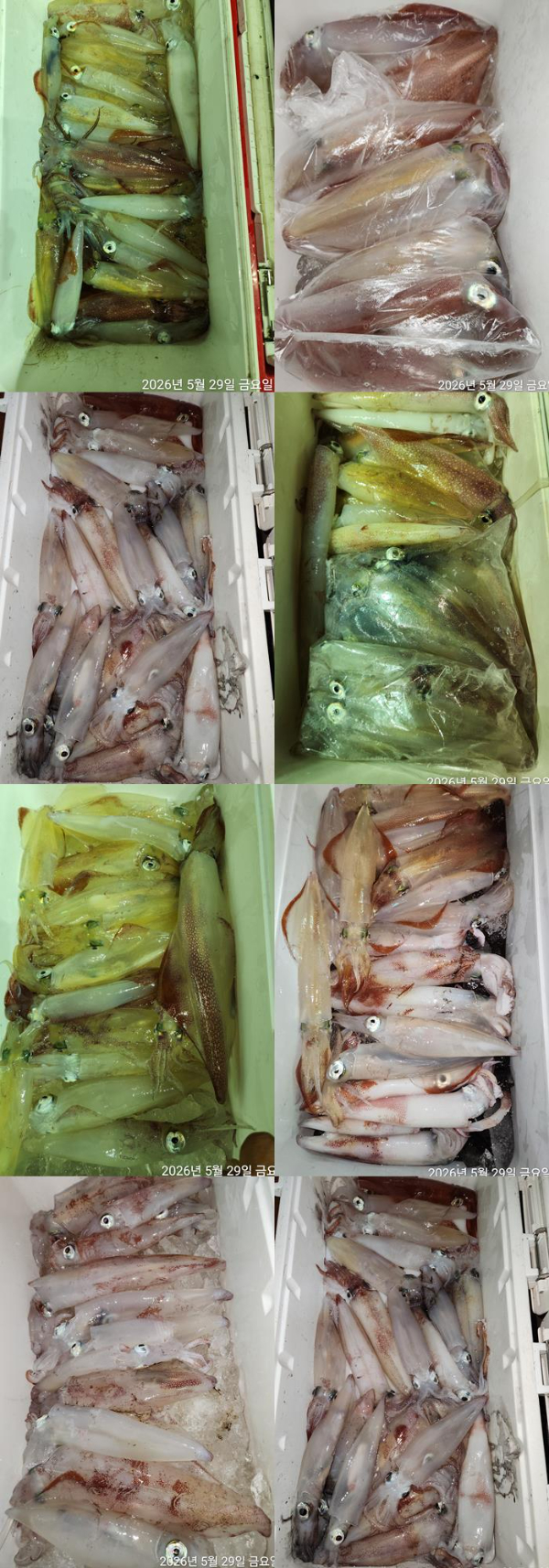 Resized_TimePhoto_20260529_031210-tile.jpg