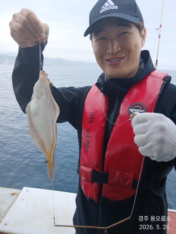 KakaoTalk_20260528_091116889_01.jpg
