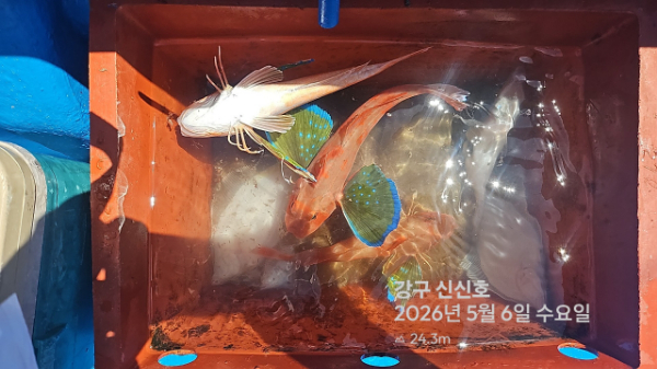 신신낚시 강구점 신신호_사진_20260506_12.jpg