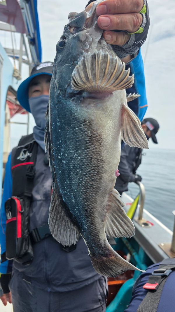 KakaoTalk_20260523_154241690_16.jpg