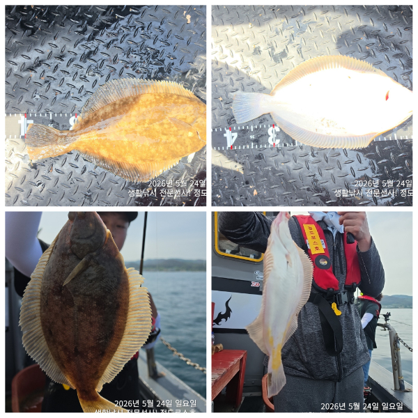 PhotoCollage_1779711918402.jpg