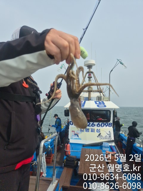 5379.jpg