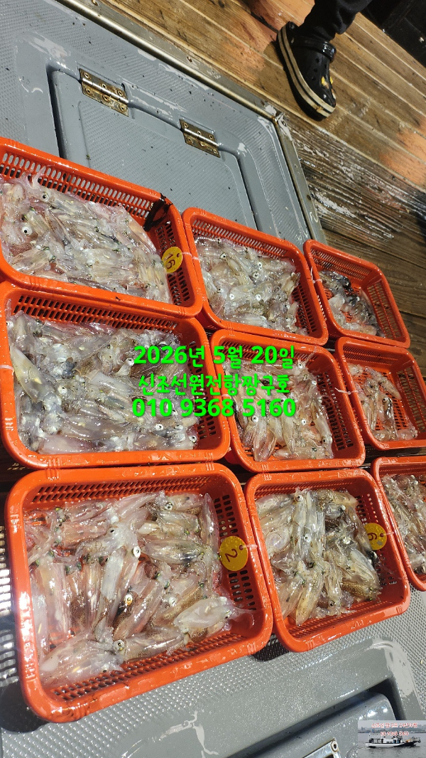 KakaoTalk_20260520_101625043_01.jpg