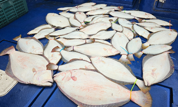 1000069508.jpg