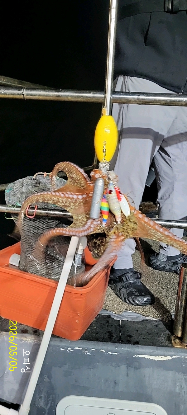 DateCamera0506221108.jpg