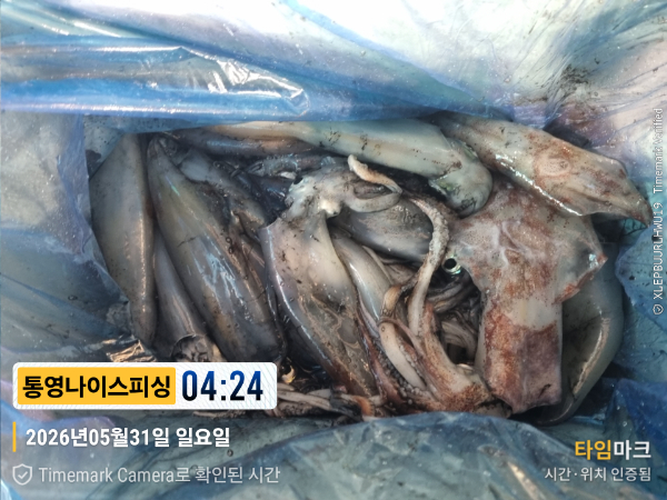 2026-05-31 04.24.16__(제목-통영나이스피싱).jpg