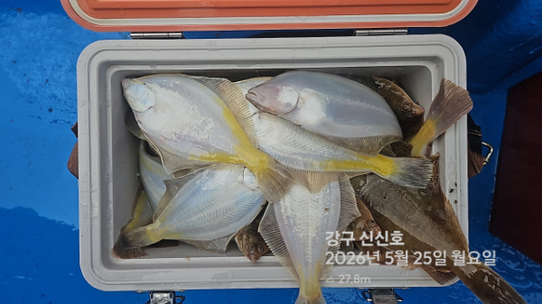 신신낚시 강구점 신신호_사진_20260525_17.jpg