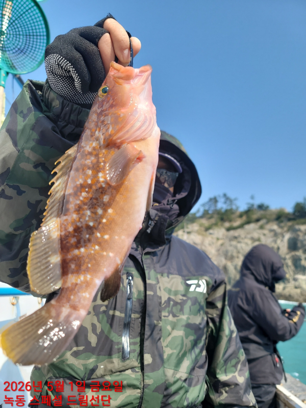 쎄븐피싱클럽(선상 버스출조전문)_사진_20260503_19.jpg