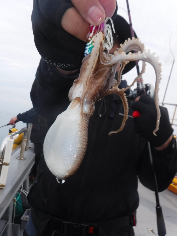 DSCF5701.JPG