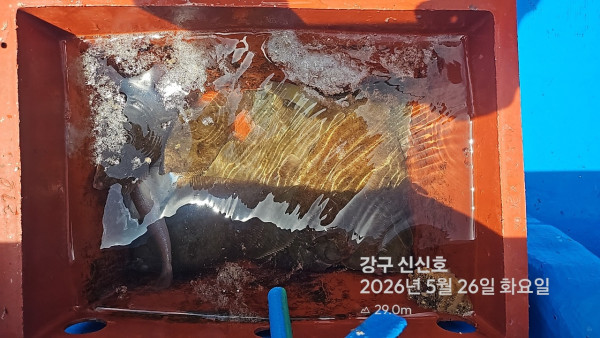 신신낚시 강구점 신신호_사진_20260526_12.jpg