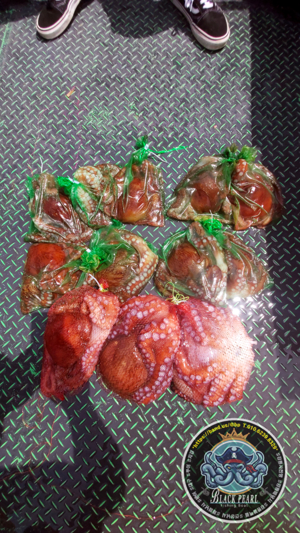 KakaoTalk_20260501_171132936_03.jpg