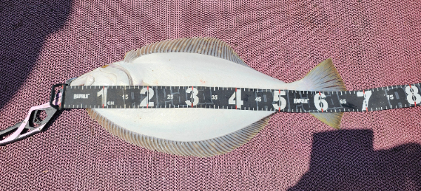 1000053847.jpg