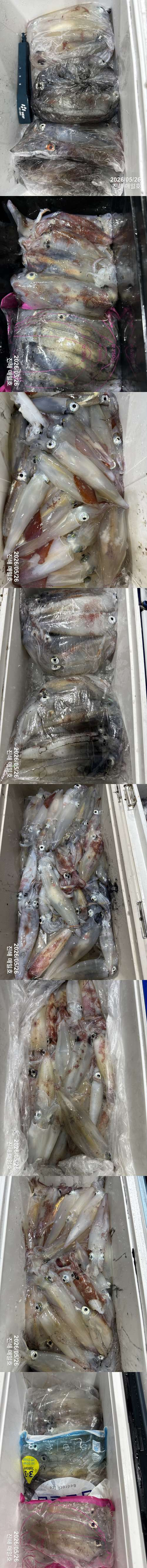 왕한치3.jpg