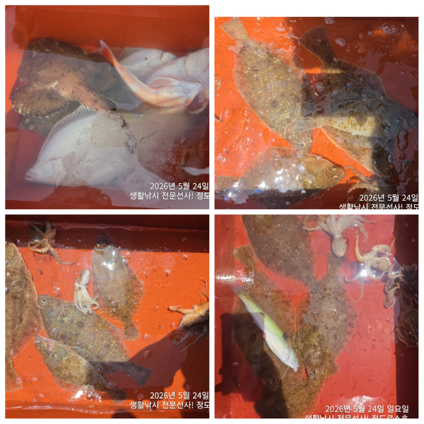 PhotoCollage_1779707115645.jpg