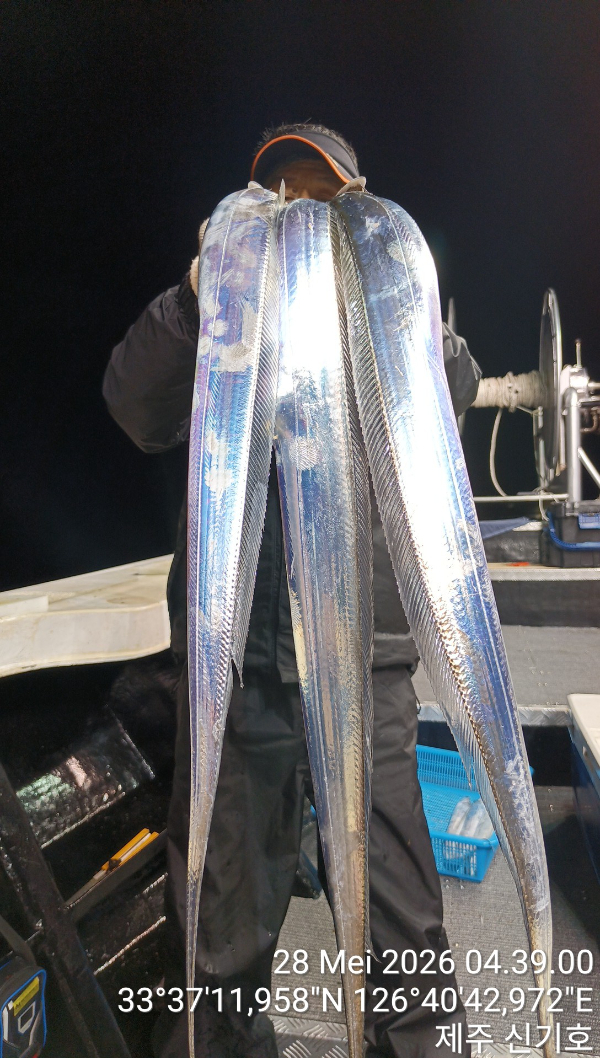 KakaoTalk_20260528_084013764_01.jpg