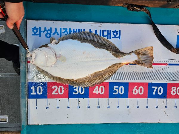 KakaoTalk_20260505_172717350_04.jpg