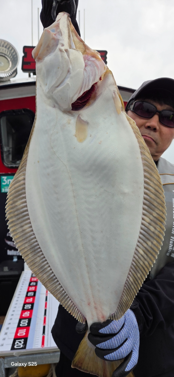 BandPhoto_2026_05_25_06_05_59_7.jpg