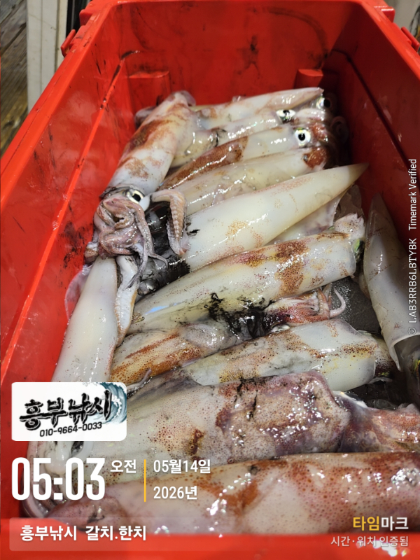 2026-05-14 05.03.15__(-흥부낚시  갈치.한치).jpg