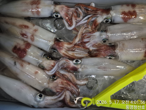 KakaoTalk_20260517_212934926_09.jpg