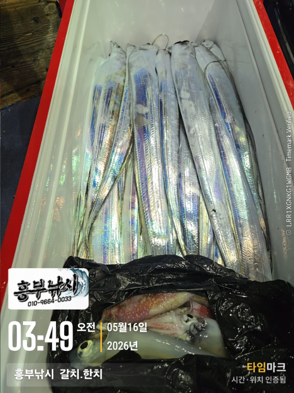2026-05-16 03.49.06__(-흥부낚시  갈치.한치).jpg
