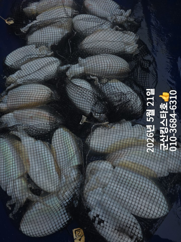 TimePhoto_20260521_135608.jpg