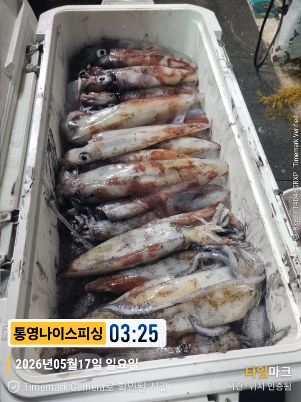 2026-05-17 03.25.46__(제목-통영나이스피싱).jpg