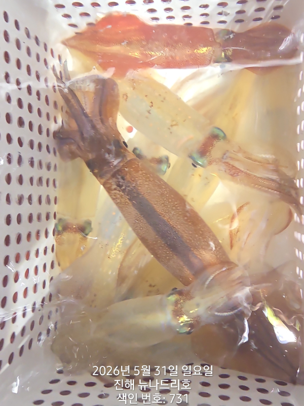 TimePhoto_20260531_032835.jpg