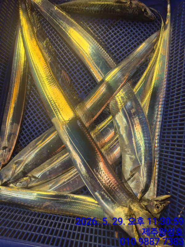1780096368669.jpg