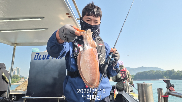 81687.jpg