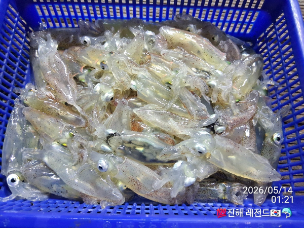 1F61CBE6-E17C-48F5-93A1-EAEAE8629BEE.jpeg