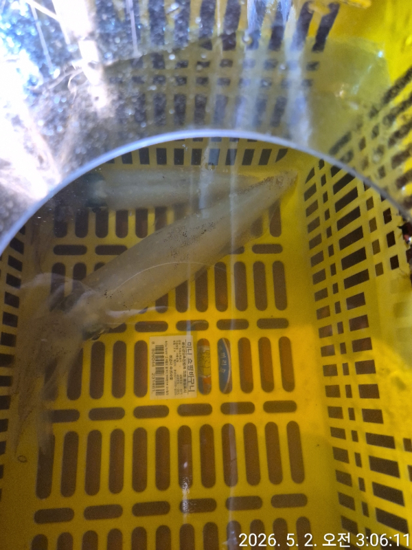 1004피싱_사진_20260502_9.jpg