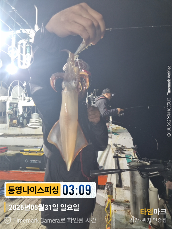 2026-05-31 03.09.40__(제목-통영나이스피싱).jpg