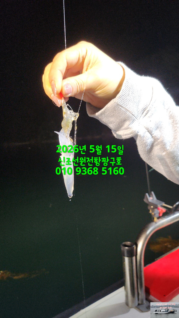 KakaoTalk_20260516_031933420_02.jpg