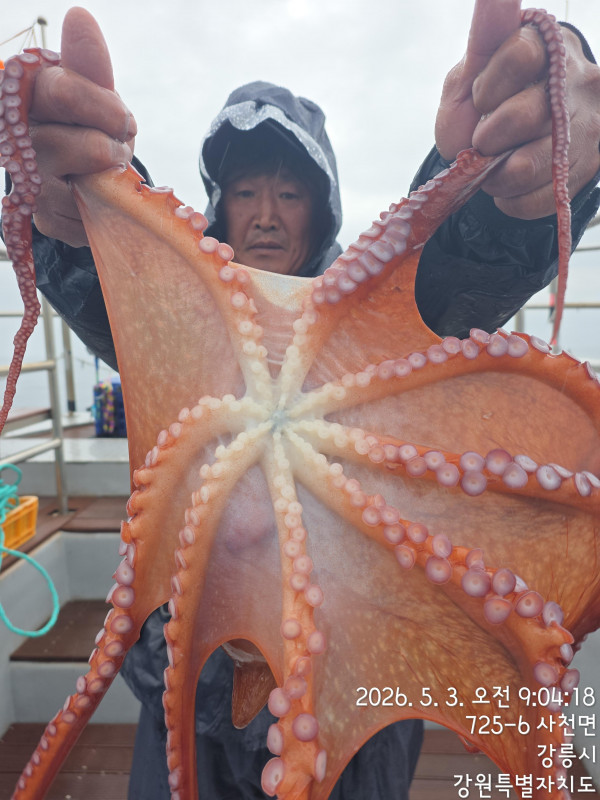 KakaoTalk_20260503_122003423_14.jpg