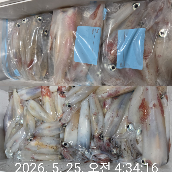 1000079717.jpg