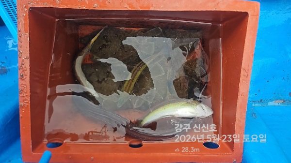 신신낚시 강구점 신신호_사진_20260523_5.jpg