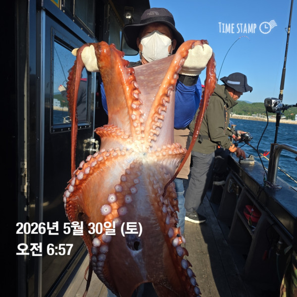 공현진낚시마트(돌핀호)_사진_20260530_3.jpg