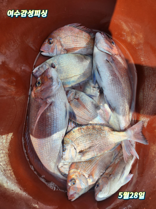 cu1779957953744.jpg
