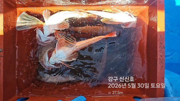 신신낚시 강구점 신신호_사진_20260530_18.jpg