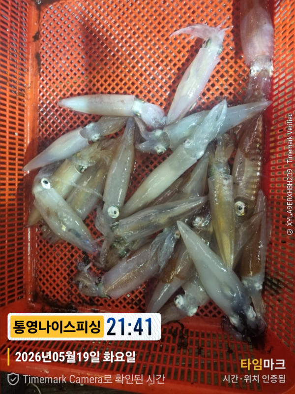 2026-05-19 21.41.16__(제목-통영나이스피싱).jpg