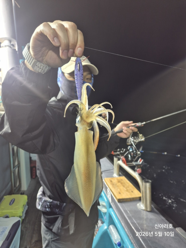 바다꾼낚시(신아라호)_사진_20260510_5.jpg
