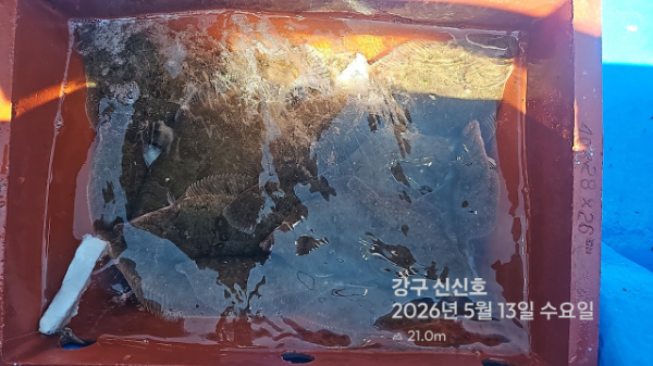 신신낚시 강구점 신신호_사진_20260513_14.jpg