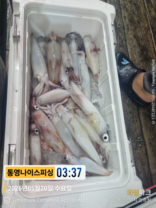 2026-05-20 03.37.36__(제목-통영나이스피싱).jpg